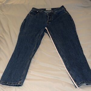 Everlane the curvy 90s Cheeky Straight Jean